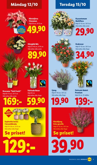 Lidl reklamblad i vecka 42 sida 22