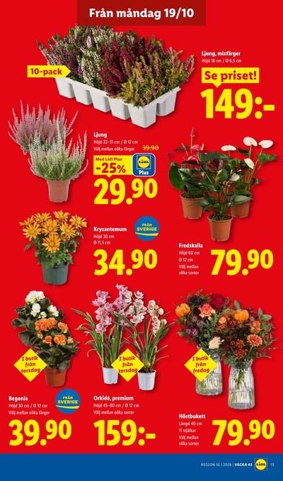 Lidl reklamblad i vecka 43 sida 16